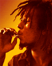THI&eacute;BOU yAPp